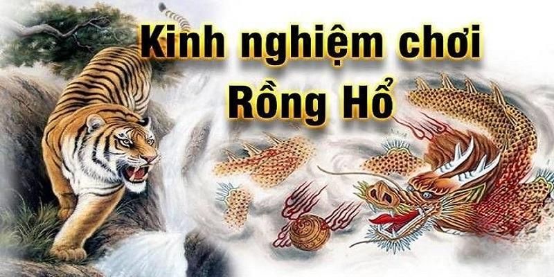 Kinh nghiệm đánh rồng hổ thắng lớn